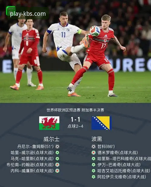 从波黑点球大战到流畅观赛：开博体育App体验与信息获取的深度对比
